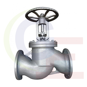 ss ic globe valve manufacturer