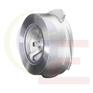 SS disc check valve manufacturers in india