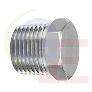 ss hex plug manufacturer in gujarat