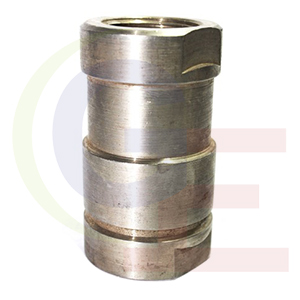 Stainless Steel Non Return Valve