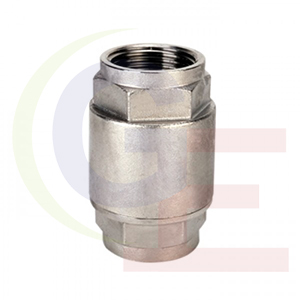 Stainless Steel non return Valve